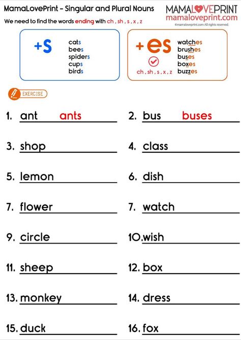 #MamaLovePrint #SingularPluralNouns #PluralNouns #SingularNouns #Plural #Singular

#EnglishGrammar #Grammar #GrammarWorksheets #ESLWorksheets #EnglishTeachingResources #LearningEnglish #EnglishWorksheets #EnglishWorksheet #EnglishPrintable #EnglishPDF #WorksheetPDF #FreeDownload #HomeLearning #FreeExercise

#Primary1English #Grade1English #EnglishForGrade1 #FirstGradeEnglish #1stGradeEnglish #Primary1English English Basic Grammar, Grade 1 English Worksheets, Learning Activities Kindergarten, Plurals Worksheets, Plural Nouns Worksheet, Singular And Plural Nouns, English Grammar For Kids, English Worksheets For Kindergarten, Grammar For Kids