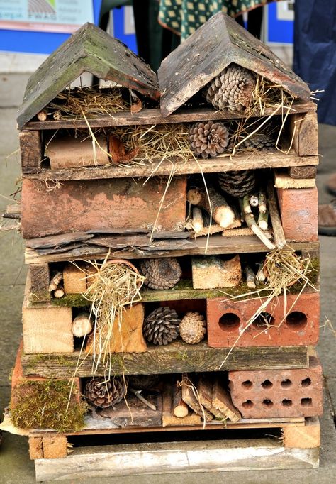 Bug Hotel, Insect Hotel, Garden Bugs, Sensory Garden, Children's Garden, Outdoor Classroom, Pallet Garden, Wildlife Gardening, School Garden