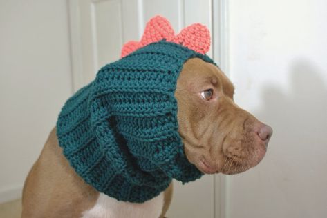 Dinosaur Dog Snood MADE TO ORDER by courtanai on Etsy Crochet Snood, Crochet Dog Clothes, Dog Snood, Winter Crochet, Crochet Dinosaur, Hand Knit Hat, Pet Fashion, Dog Hat, Puppies Funny