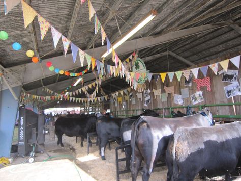 cattle cow barn stall decorations decor Brand Display, Cow Barn, Stall Decorations, Livestock Barn, Show Steers, Show Cows, Barn Stalls, Horse Information, Fair Display