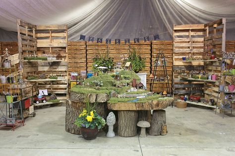 Fairy gardening: The fad that isn’t fading - Garden Center Magazine Garden Boutique, Garden Center Displays, Outdoor Nursery, Retail Design Display, Fairies Garden, Nursery Shelves, Grass Roots, Greenhouse Ideas, Miniature Gardens