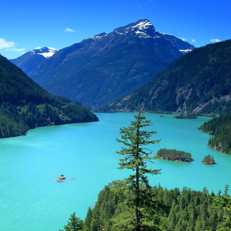 Diablo Lake Vista Point - All You Need to Know BEFORE You Go (2024) Cascades National Park Washington, Diablo Lake, Cascades National Park, Cascade National Park, Washington Travel, San Juan Island, Honeymoon Spots, North Cascades National Park, Car Tour