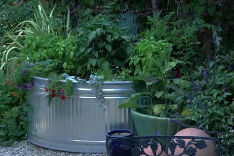 Stock Tank Planter, Natural Pond, Small Fountains, Stock Tank, Garden Designer, New Garden, Garden Design Ideas, Outdoor Classroom, Cafe Lights