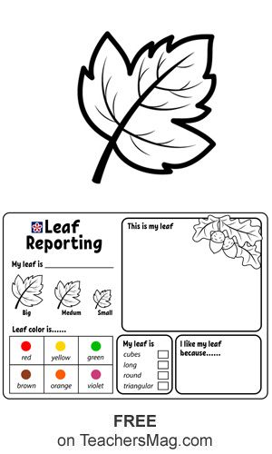 Leaf Observation Sheet, Leaf Threading, Gallatin Tennessee, Leaf Printables, Printable Leaves, Fall Preschool Activities, First Grade Science, Tree Study, Counting Worksheets