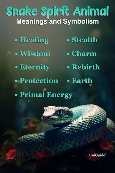 Snake Medicine Symbol, Spirit Animal Snake, Snake Symbolism Meaning, Charm Meanings, Snake Meaning, Snake Symbolism, Native American Spirit Animals, Spiritual Animals, Snake Spirit Animal