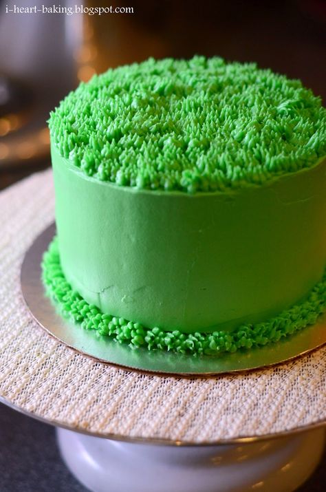 grass cake - Google Search                                                                                                                                                                                 More Golf Ball Cake, Grass Cake, 75 Birthday Cake, Edible Grass, Chandelier Cake, Grass Design, First Communion Cakes, Chocolate Cherry Cake, Horse Cake