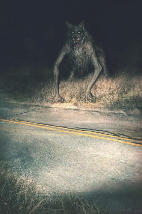 Creepy Animals Art, The Beast Of Bray Road, Dark Werewolf Art, Creepy Forest Creatures, Apocalyptic Monsters, Creepy Monster Art, Werewolf Cute, Scary Jungle, Creepy Cryptids