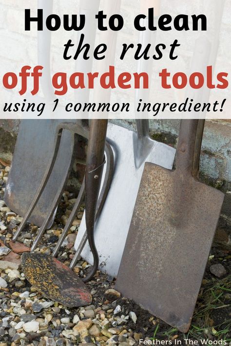 Rusty garden tools before cleaning Clean Garden Tools, Old Garden Tools, Small Garden Tools, Rusty Tools, Best Garden Tools, Rusty Garden, Lawn Tools, How To Clean Rust, Survival Gardening