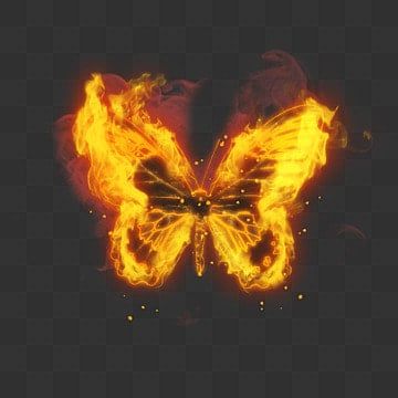 realistic,fly,flame,butterfly,spark,smoke,fire,abstract Butterfly On Fire, Flaming Butterfly, Akashi Records, Butterfly Realistic, Flame Butterfly, Ovid's Metamorphoses, Fire Butterfly, Fire Abstract, Ovid Metamorphoses