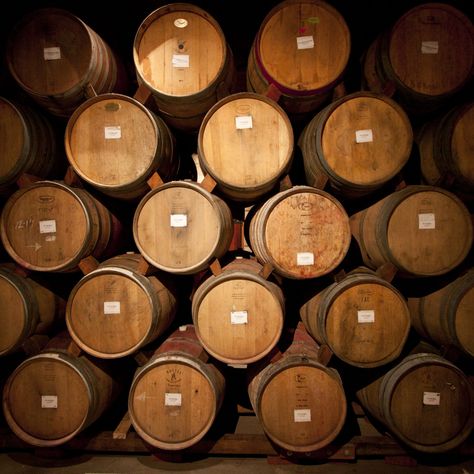 If you ever find yourselves needing to store 300,000 liters of wine in one location, look no further than Château Puech Haut in France's Languedoc reg... Wine Course, Virginia Wineries, Coffee With Alcohol, The Oregon Trail, Wine Merchant, Wine Expert, Different Wines, Cheap Wine, Oak Barrel