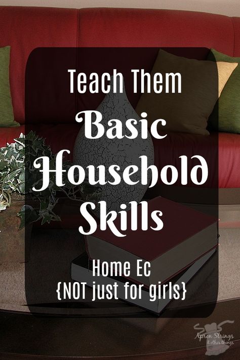 Home Economics Classroom, Chores For Kids By Age, High School Credits, Summer Homeschool, Life Skills Lessons, Teaching Life Skills, Family And Consumer Science, Girls Day, Homeschool High School