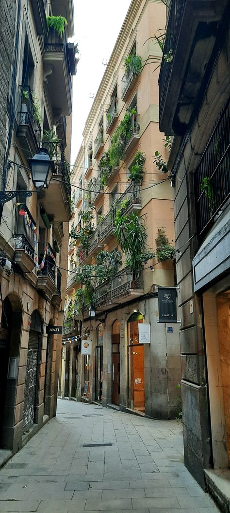 Balcony With Plants, Catalan Modernism, Barcelona Pictures, Barcelona Aesthetic, Picasso Museum, Spain Aesthetic, Roman City, The Cosmopolitan, Barcelona City