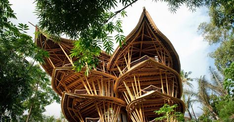 Bamboo Village, Bamboo Building, Mtv Cribs, Magical House, Bamboo Structure, Bamboo Architecture, Bamboo Construction, Green School, Bamboo House