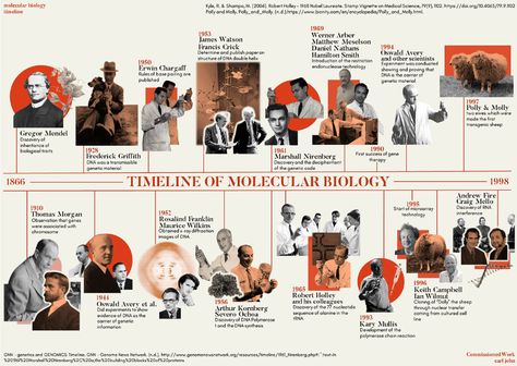 Timeline Infographic Design, Timeline Project, Mises En Page Design Graphique, Historical Timeline, Infographic Design Layout, Timeline Infographic, Timeline Design, History Timeline, 카드 디자인