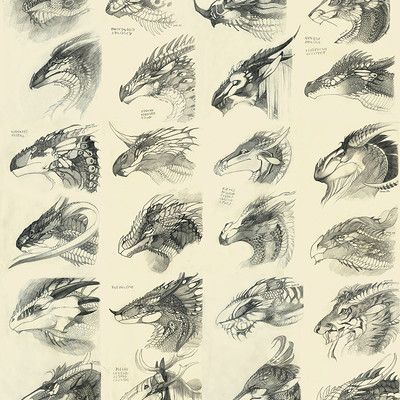 Dragon Anatomy, Dragon Heads, Illustration Tutorial, Dragon Sketch, Dragon Pattern, Dragon Head, Dragon Artwork, Mythological Creatures, Dragon Drawing