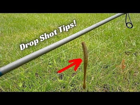 (1580) These Drop Shot Tips Will Save Your Day! - YouTube Drop Shot Fishing, How To Tie A Hook On A Fishing Line, Ice Fishing Rods, Drop Shot Rig, Drop Shot, Fishing Meme, Fishing Tips, Save Yourself, Fish