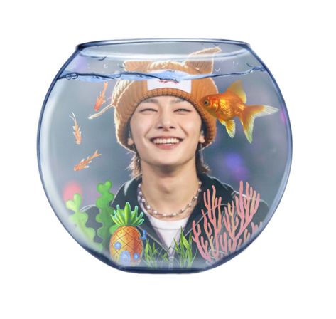 Kpop Playlist, Pet Goldfish, Yang Jeongin, Korean Boy, Fish Bowl, World Domination, Goldfish, Camera Roll, Boy Groups