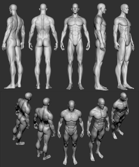 ArtStation - man body base, segu son Blender Body Reference, Man Muscle Anatomy, Figure Poses Men, Man Muscle Reference, Sketch Body Male, Muscle Man Drawing Reference, Anatomy Male Reference, Body Angles Reference, Man Body Base