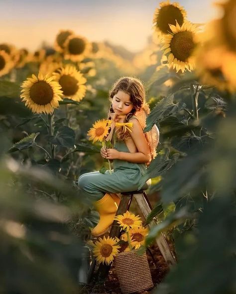 Sunflower Mini Session, Sunflower Field Photography, Sunflower Field Pictures, Outdoor Portrait Photography, Wildflower Photo, Sunflower Photography, Sister Pictures, Sunflower Photo, Beautiful Photoshoot Ideas