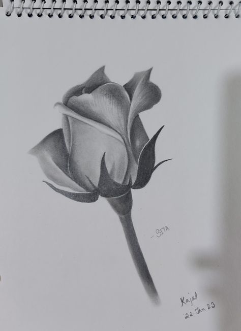 Shading and art 🎭 Object Shading Drawing, Flower Shading, Shading Drawing, Shade Roses, Rose Sketch, Pencil Shading, Cool Pencil Drawings, Object Drawing, Line Art Tattoos