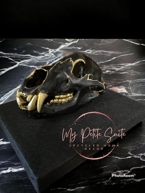 Very old bear skull painted with black enamel and gold posh chalk Byzantine Posh Chalk, Bear Skull, Fox Skull, Upcycled Home, Skull Painting, Upcycled Home Decor, Gold Paint, Black Enamel, Artifacts