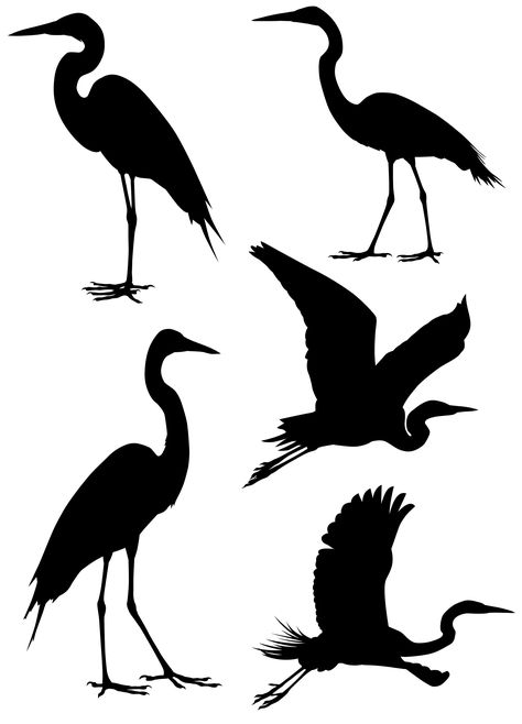 Heron Stencil, Bird Silhouette Art, Simple Wall Paintings, Heron Art, Acrylic Art Projects, Butterfly Images, Tattoo Design Book, Herons, Silhouette Stencil