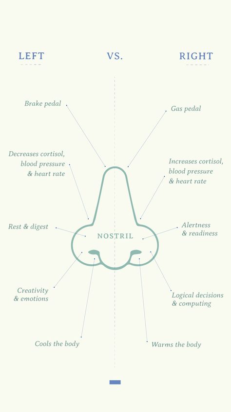 Right Nostril Breathing, Pranayama Breathing Exercises, Nostril Breathing, Yoga Breathing Techniques, Yoga Breathing Exercises, Yoga Teacher Resources, Pranayama Breathing, Pranayama Yoga, Yoga Education