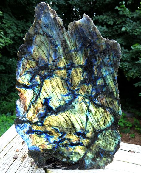 A High quality Labradorite showpiece with 100% flash of gold and blue. 11 by 7 by 4 inches deep. Madagascar 10.5 pounds Living Room Display, Series Ideas, Fine Minerals, Pretty Rocks, Crystal Therapy, Cool Rocks, Room Display, Gold And Blue, Labradorite Crystal