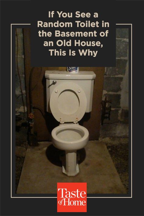 Standalone toilets in the basement are an outdated concept. Why were they necessary in the first place? Basement Toilet, Old Toilet, Open Basement, Old Basement, Unfinished Basement, Basement Bathroom, The Basement, Taste Of Home, First Place