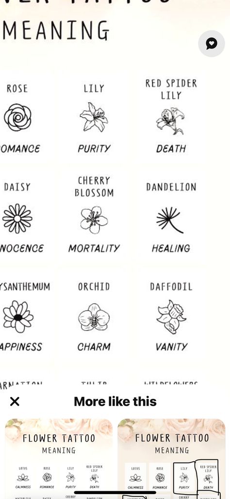 Flower Symbols And Meanings, Meaning Of Flowers Symbols, Flower Tattoos And Their Meanings, Flower Meanings Tattoo, Flower Symbolism Meaning Tattoo, Flowers And What They Symbolize, Flower Tattoo Meanings, Lily Lotus, Rose Lily