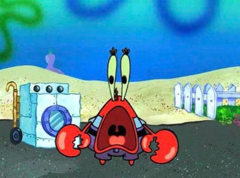 Spongebob Background, Laugh Or Die, Spongebob Funny Pictures, Spongebob Pics, Spongebob Painting, Spongebob Square, Mr Krabs, Still Frame, Current Mood Meme