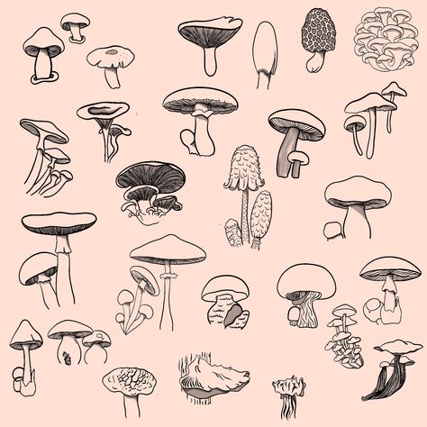 Tattoo Designs Mushroom, Mushroom Tattoo Flash, Mushroom Flash Tattoo, Mushroom Flash, Nails 2023 Pedicure, 2023 Pedicure, Mushroom Tattoo, Vintage Cowgirl Art, Mushroom Tattoos