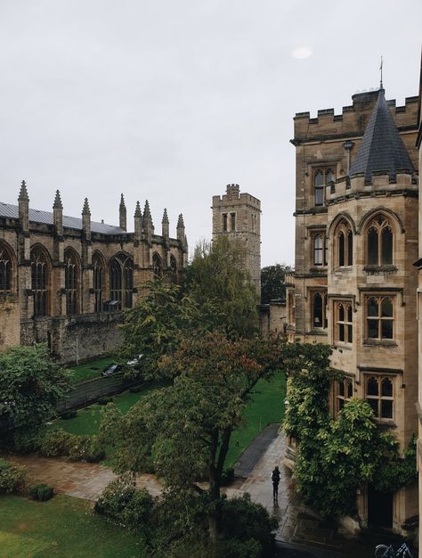 Oxford, University, Trees, On Twitter, Building, Twitter