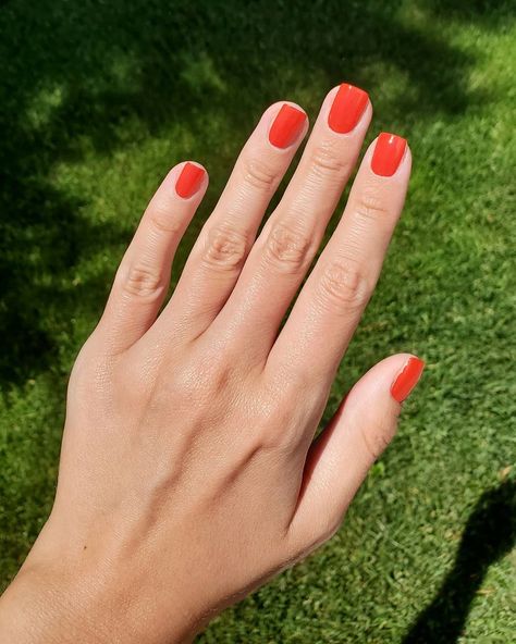 Essie Geranium, Geraniums Red, Nail Inspiration, Geraniums, Red Nails, Essie, Nails Inspiration, Nail Art, Orange