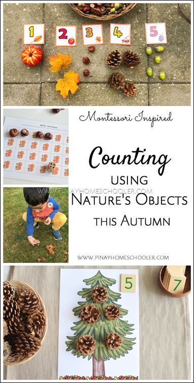 Counting activities for fall (scheduled via http://www.tailwindapp.com?utm_source=pinterest&utm_medium=twpin) Autumn Maths Activities, Fall Counting Activities, Fall Math Activities, Outdoor Learning Activities, Fall Preschool Activities, Fall Math, Tree Study, Nature School, Montessori Preschool