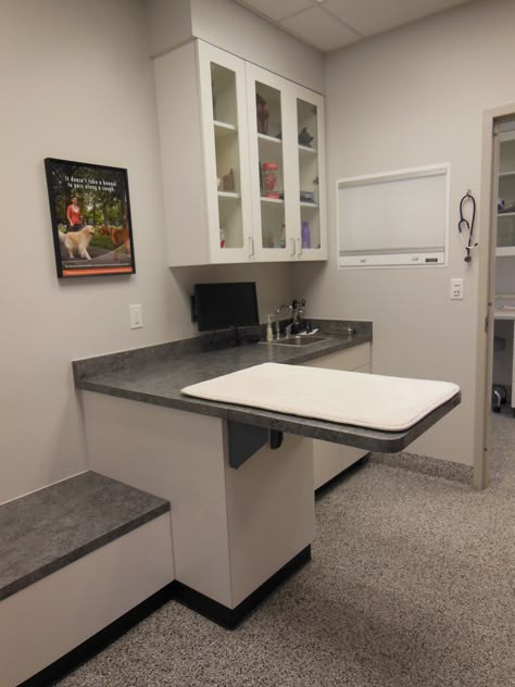 Vet Clinic Exam Room Ideas, Veterinary Clinic Exam Rooms, Small Vet Clinic Design, Vet Exam Room, Hospital Floor Plan, Medical Office Interior, Consulting Room, Daycare Design, New Hospital