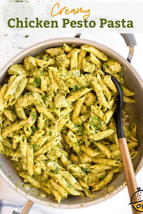 Creamy Chicken Pesto Pasta, Pesto Pasta Recipes Chicken, Chicken Pesto Pasta, Creamy Pesto Chicken Pasta, Pesto Pasta Recipe, Chicken Pesto Recipes, Basil Pesto Sauce, Pesto Pasta Recipes, Chicken Pesto