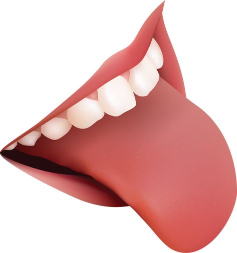 Tongue Images, Teeth Png, Human Tongue, Teeth Images, Mouth Piercings, Piercing Chart, Veneers Teeth, Human Teeth, Smile Teeth