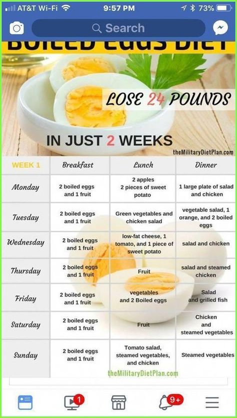 Boiled Eggs Diet, Eggs Diet, Best Diet Foods, Protein Smoothies, Baking Powder Uses, Low Fat Cheese, Makanan Diet, Best Diet Plan, Low Fat Diets