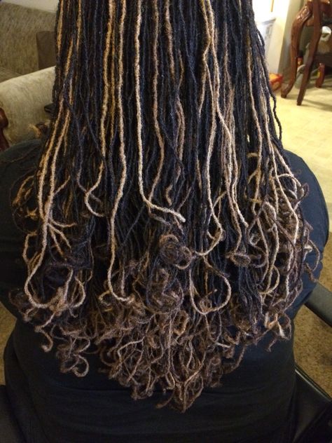 Brown Locs With Blonde Highlights, Sister Locs Dyed, Micro Locs Dyed, Locs With Blonde Highlights, Highlights On Locs, Dyed Sisterlocks, Blonde Sisterlocks, Skunk Stripe Locs, Braidlocs Journey