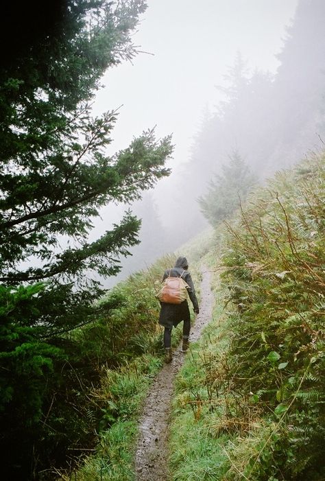 Take A Hike, Walk In The Woods, Back To Nature, Adventure Awaits, Outdoor Adventure, In The Woods, Portland Oregon, Hiking Trails, The Great Outdoors