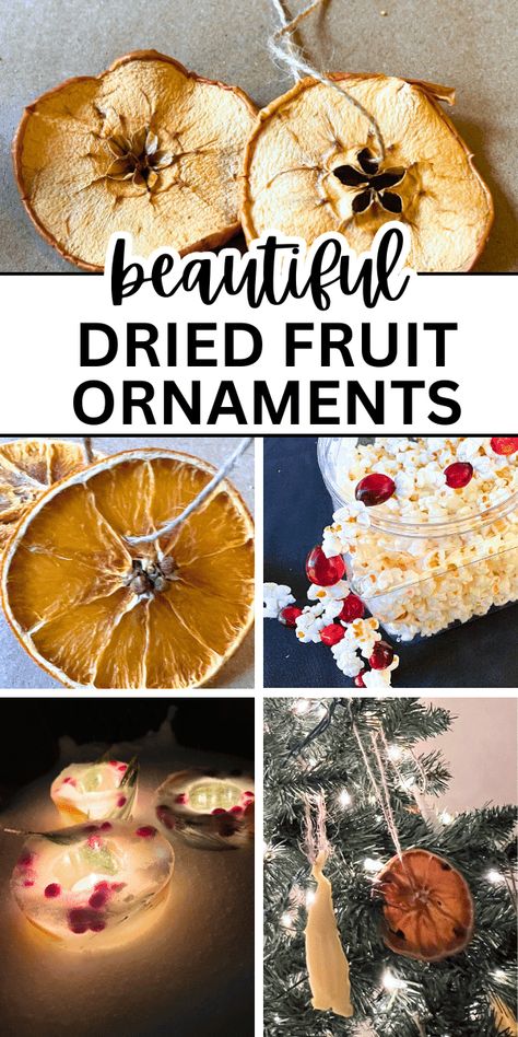 Simple dried orange ornaments, dried apple ornaments and more DIY dried fruit ornaments for Christmas decorations and winter solstice crafts. Fun Ideas For Diy Dried Orange Ornaments, Easy Diy Dried Fruit Ornaments, Diy Winter Solstice Decorations, Autumn Ornaments Diy, Dried Fruit Decorations Christmas, Orange Ornaments Christmas Decorations Christmas Crafts. Christmas Dried Oranges and Winter Nature Crafts For Kids. #christmascrafts #driedfruit #ornaments #wintersolstice #naturecrafts Cinnamon Orange Ornaments, How To Make Dried Fruit Garlands, Drying Fruit For Christmas Decorations, Dried Apple Wreath, Persimmon Decorating, Waldorf Christmas Ornaments, Dried Fruit Ornaments Diy, Dehydrated Fruit Garland, Winter Solstice Decorations Diy