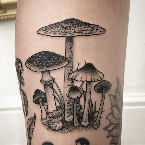 Barbie Lowenberg on Instagram: “🍄🍄🍄 for Natalie, thank you!” Mushroom Gap Filler Tattoo, Gap Filler Tattoo Ideas, Mushroom Skull, Mushroom Tattoo, Autumn Tattoo, Kunst Tattoos, Mushroom Tattoos, Elbow Tattoos, Ring Tattoos