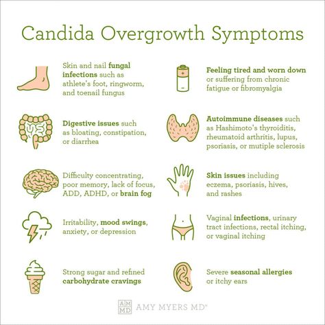 Candida Overgrowth Symptoms, Get Rid Of Candida, Candida Symptoms, Yeast Infection Causes, Amy Myers, Yeast Overgrowth, Candida Recipes, Candida Diet Recipes, Candida Cleanse