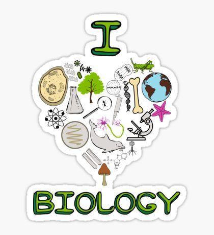 I love biology Sticker A Level Biology, Science Stickers, Biology Art, Biology Notes, Acrylic Nail Kit, Tumblr Stickers, School Stickers, School Photos, Science Classroom