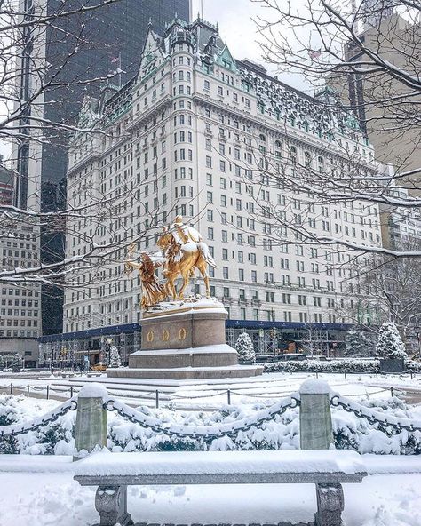 Elena on Instagram: ““The snow began to fall again, drifting against the windows, politely begging entrance and then falling with disappointment to the…” The Plaza Hotel Nyc, New York Noel, Eloise At The Plaza, Grand Plaza, New York Winter, Nyc Christmas, Nyc Aesthetic, Ny City, Plaza Hotel