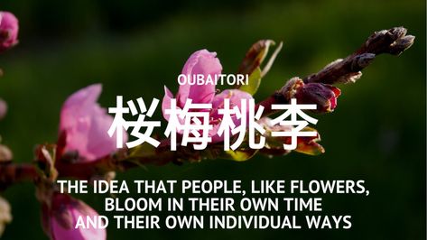 Oubaitori Tattoo, Japanese Idioms, Beautiful Japanese Words, Kanji Japanese, Cherry Plum, Kanji Characters, Learn Japanese Words, Japanese Quotes