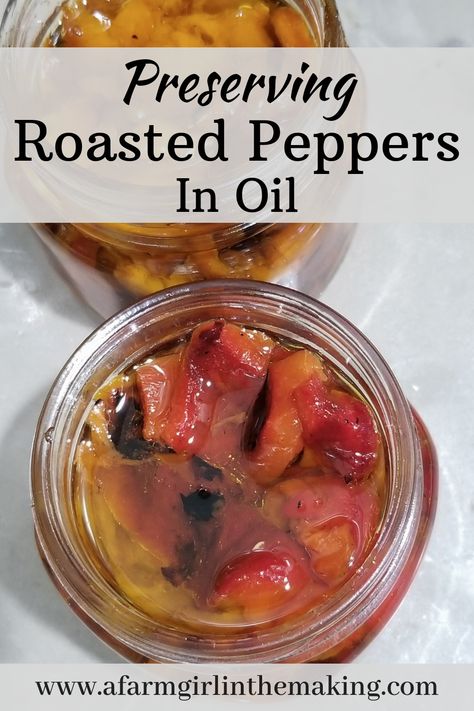 Preserving roasted peppers, or preserving chilis, in olive oil is a traditional method to preserve the harvest. Consisting of two ingredients and a little effort, this method is beyond delicious. In addition to preserving in oil, you'll also find recipes for canning peppers. #canningpeppers #roastedpeppers #preservingpeppers #peppersinoil Preserve Peppers In Oil, Roasted Peppers In Olive Oil And Garlic, Canning Italian Peppers, Canned Peppers In Oil, How To Preserve Bell Peppers, Preserving Roasted Red Peppers, Canning Red Peppers, Preserving Peppers In Oil, Canning Recipes For Peppers