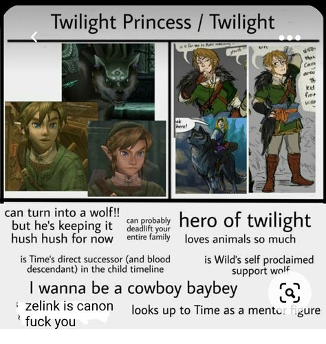 Linked Universe Twilight, Twilight Link, Spirit Tracks, Linked Universe, Legend Of Zelda Memes, Botw Zelda, Zelda Funny, Zelda Botw, Video Game Memes