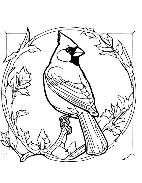 Cardinal Cardinal Coloring Pages, Cardinal Drawing, Cardinal Birds Art, Colored Pencil Art Projects, Bird Painting Acrylic, Wood Burning Patterns Stencil, Armband Tattoos, Cool Tattoo Drawings, Northern Cardinal